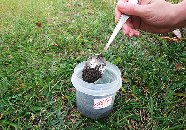 weigh out soil to test soil EC